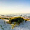 product thumbnail M40_Beach dunes_Glas_klein.jpg